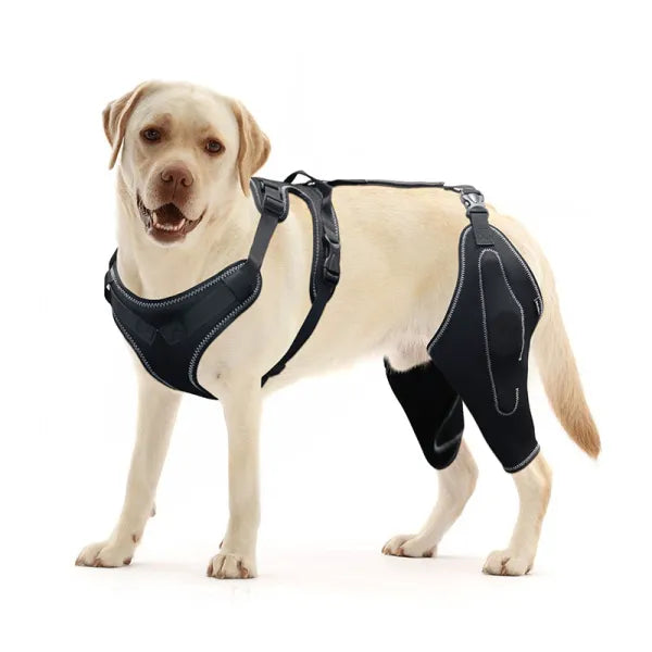 Knee Brace With Metal Splint Hinge Support For Double Leg