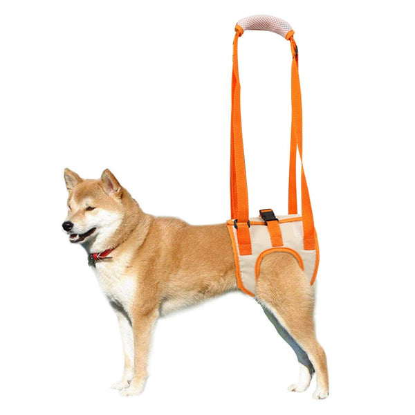 Back Leg Dog Harness