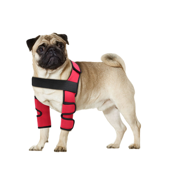 Dog Double Elbow Brace