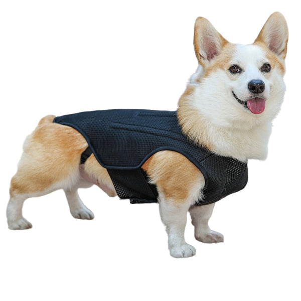 Hinged Canine Back Brace