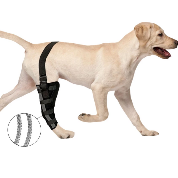 Hinged Dog Leg Brace For Single Leg