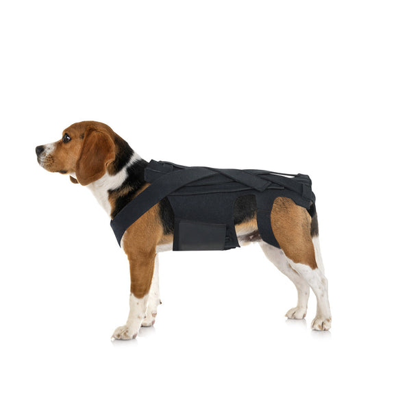 Lightweight Dog IVDD Back Brace